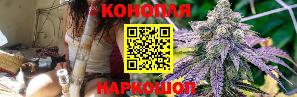Бошки Шишки марихуана Донецк
